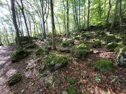 Photo de Hermann E. le long du parcours