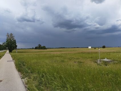 Fotografie z Frank marek na trase