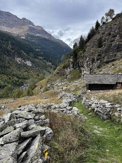 Fotografija s spletne strani Marisa scafetta na poti