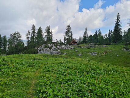 Foto von uhu321 entlang der Tour