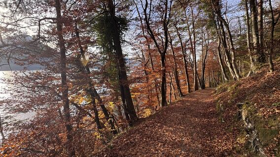 Fotografia z peter_oe na trase