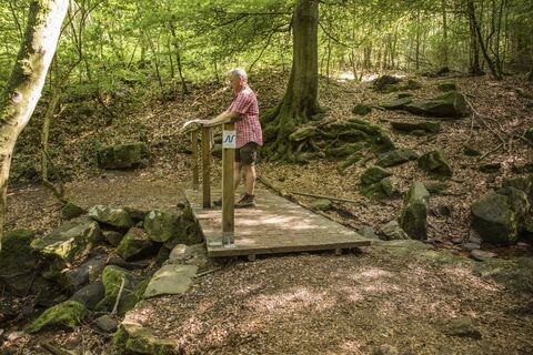 TG Odenwald Neckarsteig Wanderer bei Neckargemuend
