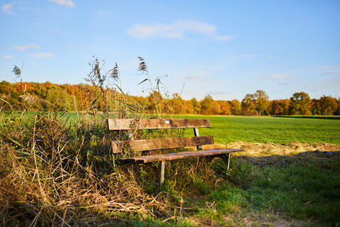 sassenberg-fuechtorf-landschaft
