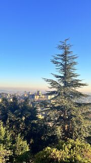 Fotografie z Dazza na trase