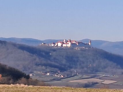 Photo de greinerin le long du parcours