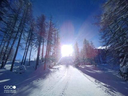 Fotografia z Gerald Lipouschek na trase