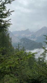 Fotografia z Gizmo 81 na trase