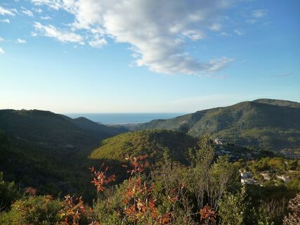 Blick auf die Riviera - Chateauneuf-Villevieille