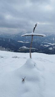 Photo de Christine Kullmer le long du parcours