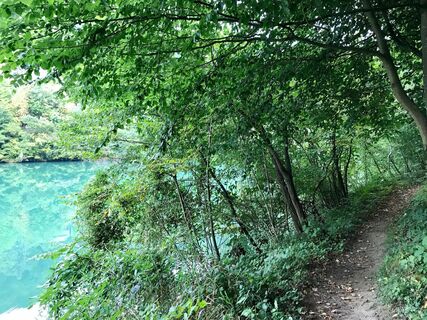 Trailrunning am Enns-Aktiv-Weg