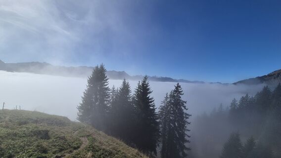 Photo de Nicole Hesse le long du parcours