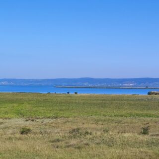 Zitzmannsdorfer Wiesen mit Blick auf den Neusiedler See
