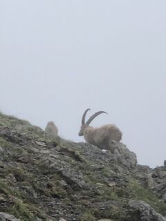 Foto von Robert Hofbauer 1 entlang der Tour