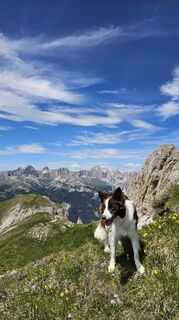 Photo de Alessio Sacco le long du parcours