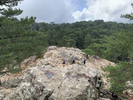 Fotografia z Jako Koel na trase