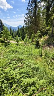 Foto von AnnJu entlang der Tour