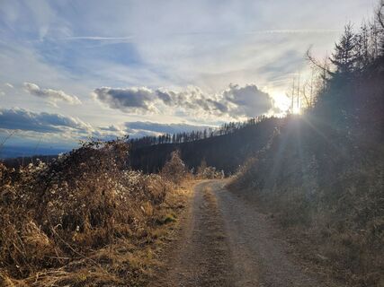 Foto von Juliane Jarke entlang der Tour