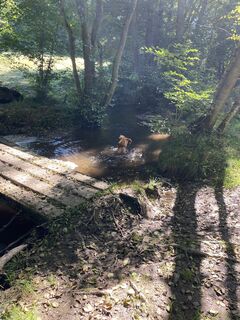Foto von Roel van Hoof entlang der Tour