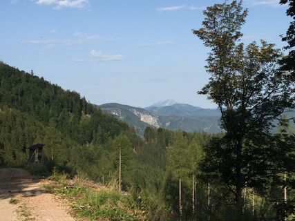 Blick auf den Ötscher