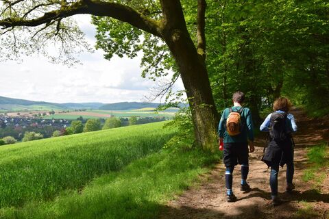 Am Waldrand oberhalb Aerzen