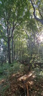 Fotografija s spletne strani Anita Lunzer 1 na poti
