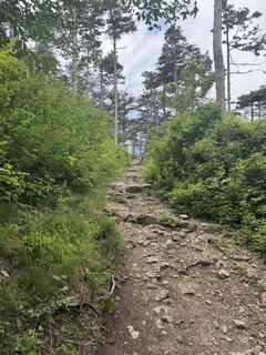 Foto de Uwe Stolze a lo largo del recorrido