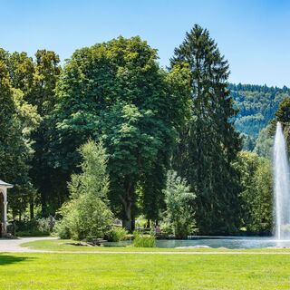 Die Tour verläuft im Wald oberhalb des Kurparks. Wer möchte, macht hier noch einen Abstecher