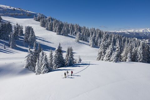 Schneeschuhwandern Frauenalpe.jpg