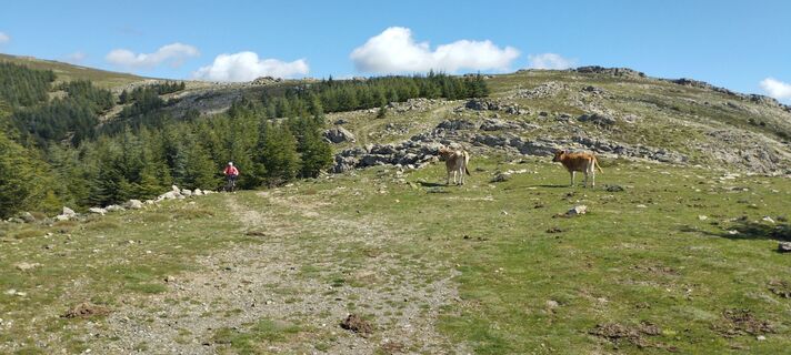 Foto von ihk57 entlang der Tour