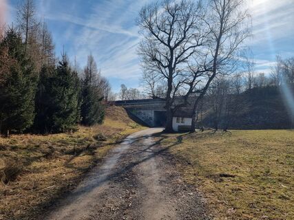 Photo de Felix le long du parcours