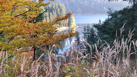 Fotografia z Karl Kriegseisen na trase