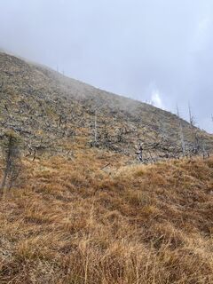 Photo from Gregor Nawratil along the tour