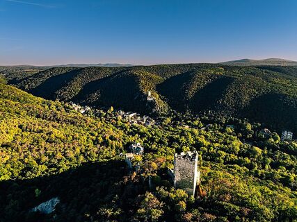 Burgruine Rauheneck