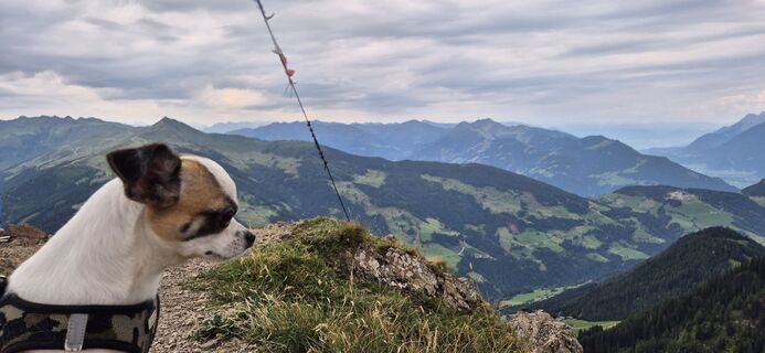 Foto von Mircoeuteneuer51 entlang der Tour