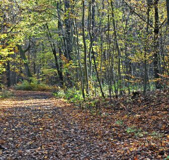 Ohrdruf Abzweig Weißer Weg