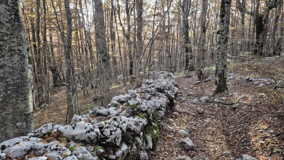 Foto fra Miha Znidarsic underveis på turen