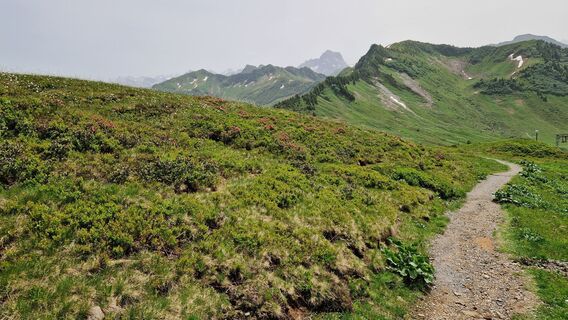 Foto de Gerrit van der Linde a lo largo del recorrido