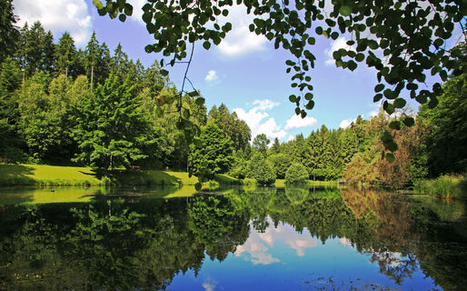 still ruht der waldsee