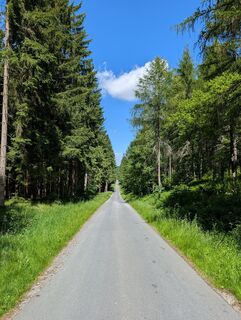 Foto von Marcel Zielinski entlang der Tour