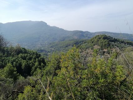 Foto da Eifeleddy lungo il tour