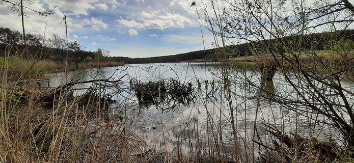 Photo de Marianne le long du parcours
