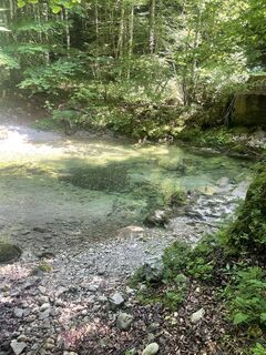 Fotografija s spletne strani Michael Trauner na poti