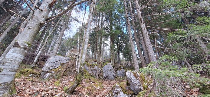 Zdjęcie z Deutsch Margit wzdłuż trasy