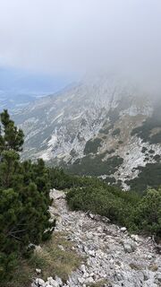 Photo de Mountain Cat ? ⛰️ le long du parcours