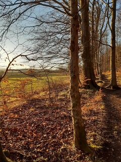 Bad_Münder_Nordmannsturm_20230214_165603.jpg