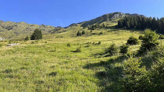 Fotografia z Erich Graf 2 na trase