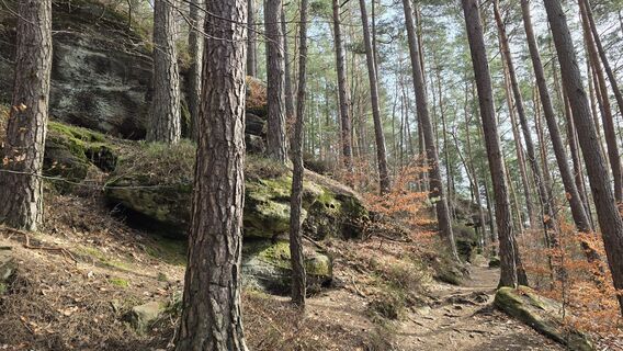 Zdjęcie z Katja Senkel wzdłuż trasy
