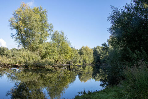 Wasser.Blick in Oedt