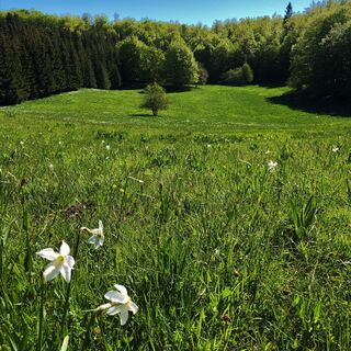 Combe de la Chandeleuse