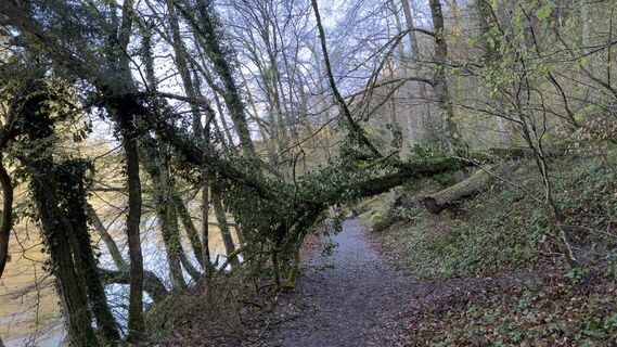 Foto de Peter Burki a lo largo del recorrido